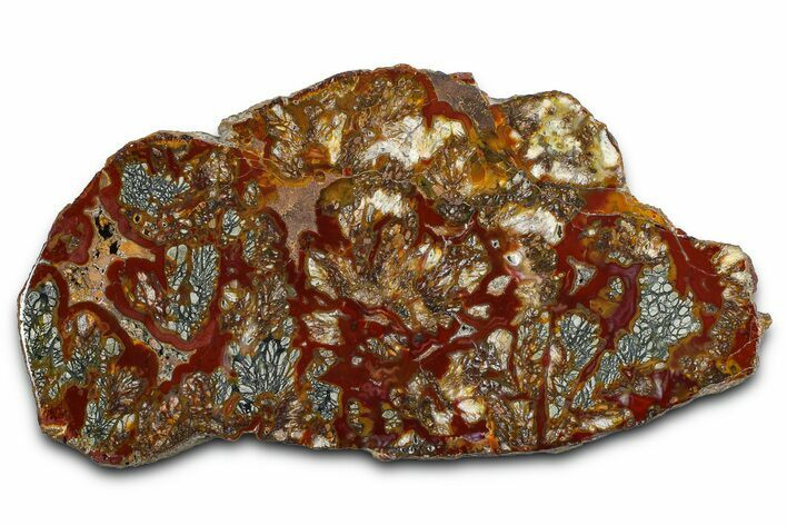 Colorful Polished Marcasite Agate Slab - Indonesia #378131
